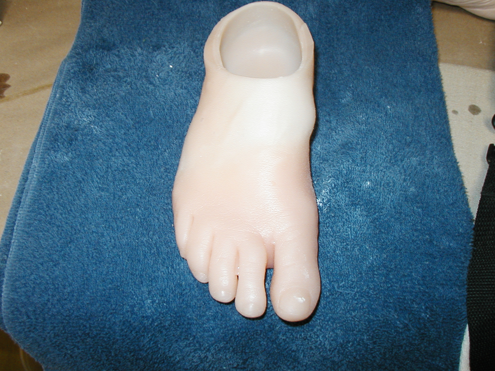 Orthotics & Prosthetics Image: