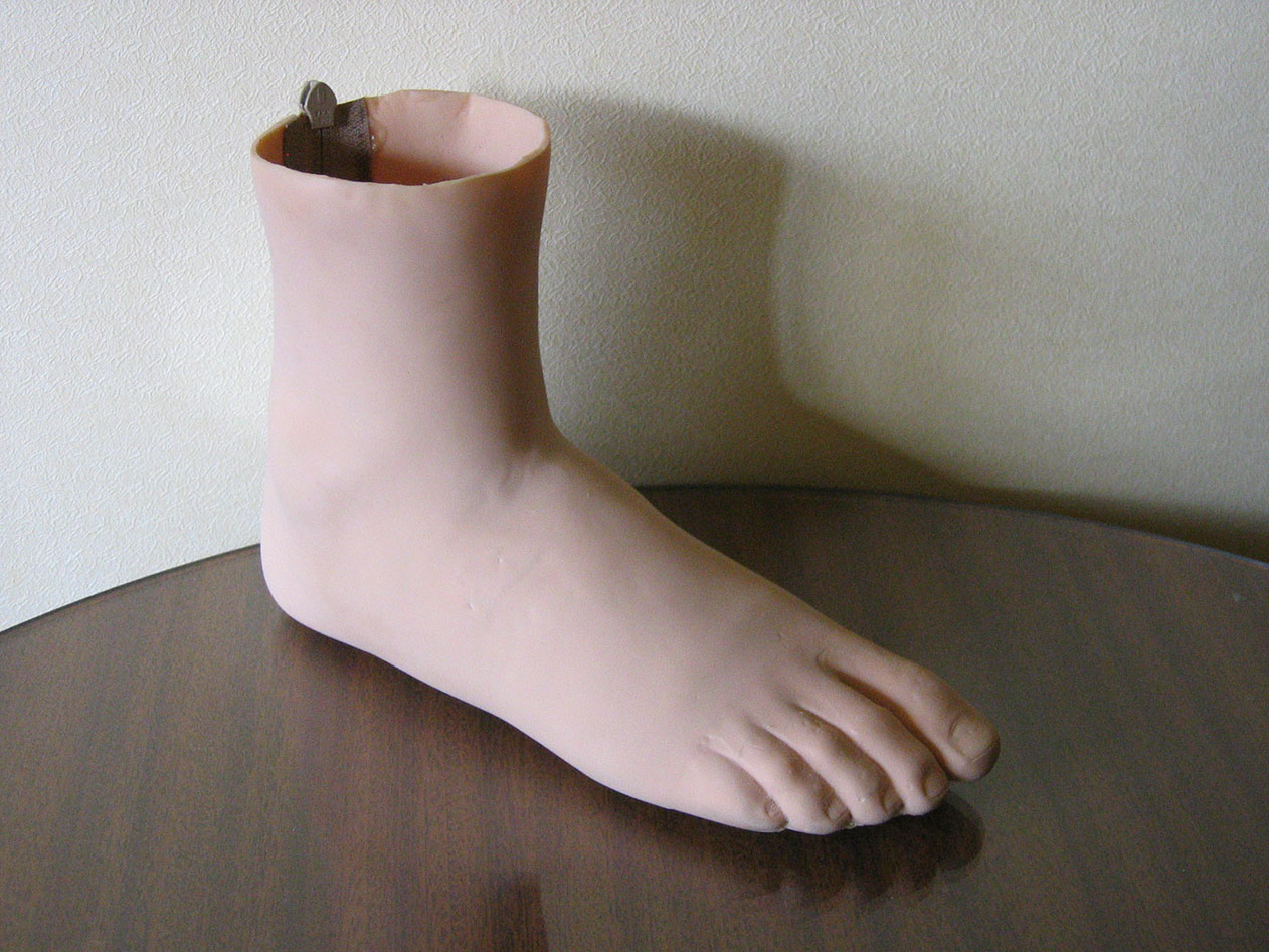 Orthotics & Prosthetics Image: