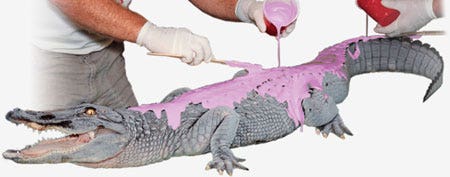 Taxidermy - Create reproductions of life through mold making and casting material innovation!