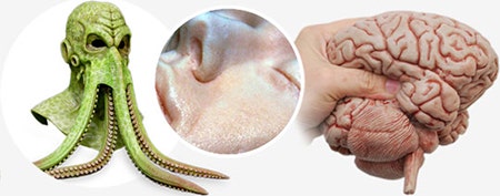 Silicone Rubber - These are two-component platinum and tin cure materials which cure at room temperature (RTV) to flexible, high tear-strength rubbers