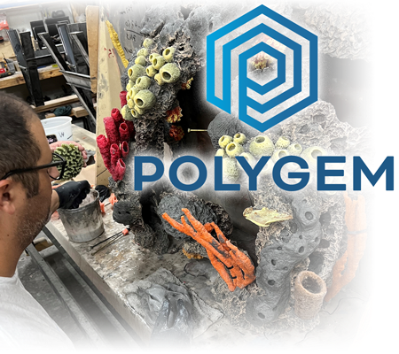 Polygem Epoxy