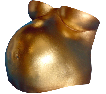 BodyGel 880