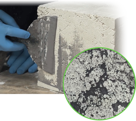 Bone Paste Plus