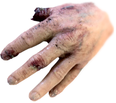 Dragon Skin FX-Pro