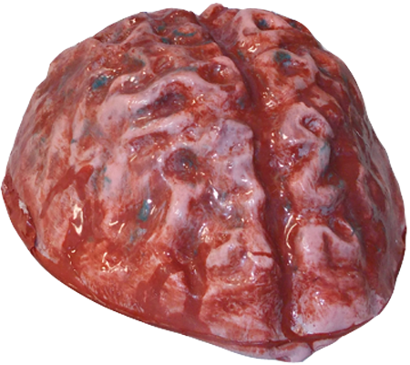 Ecoflex GEL