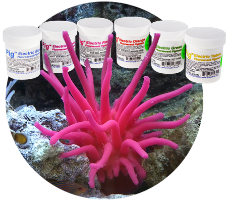 Silc Pig Electric Fluorescent Silicone Pigments
